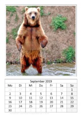 September_Kamtschatkabär.pdf